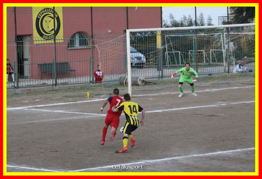 181111 Cepha_Milazzo 270_tn.JPG